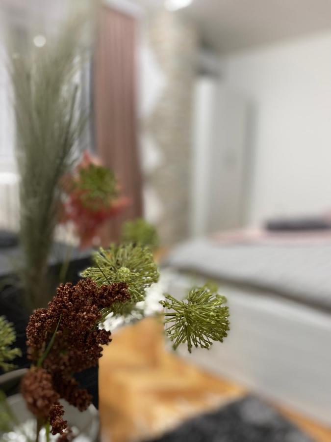 Apartman Bonaca Ниш Экстерьер фото