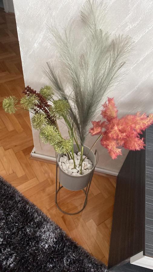 Apartman Bonaca Ниш Экстерьер фото